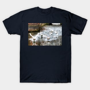 Panic, Swans Take Flight T-Shirt